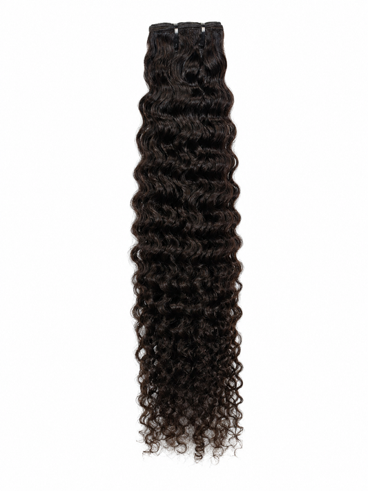Burmese Curly (Wave)